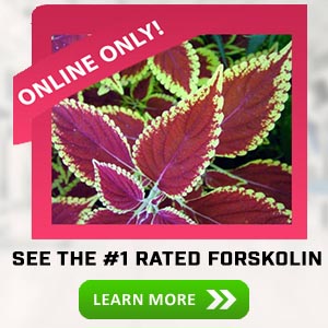 Forskolin1